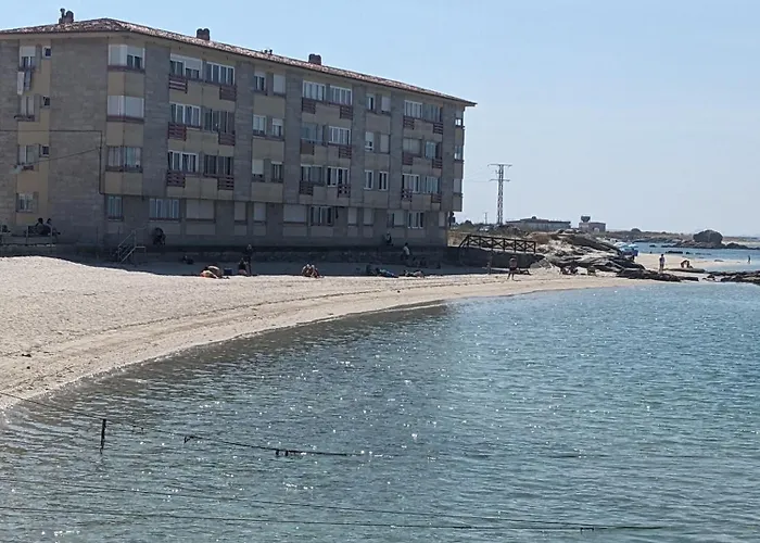 Playa Rons 오그로브